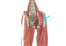 Hip Flexor Pain